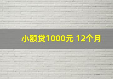 小额贷1000元 12个月